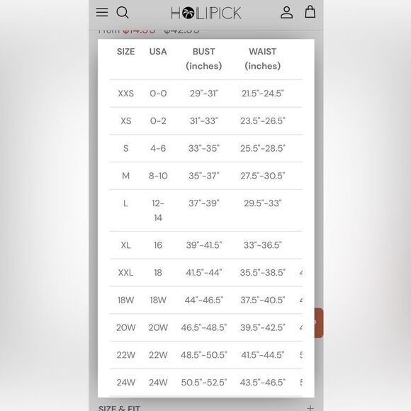 NWOT Holipick black Tummy control swim bottom, Modest high waist size M - Picture 9 of 9